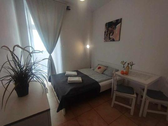 Poland Kazimierz Apartment